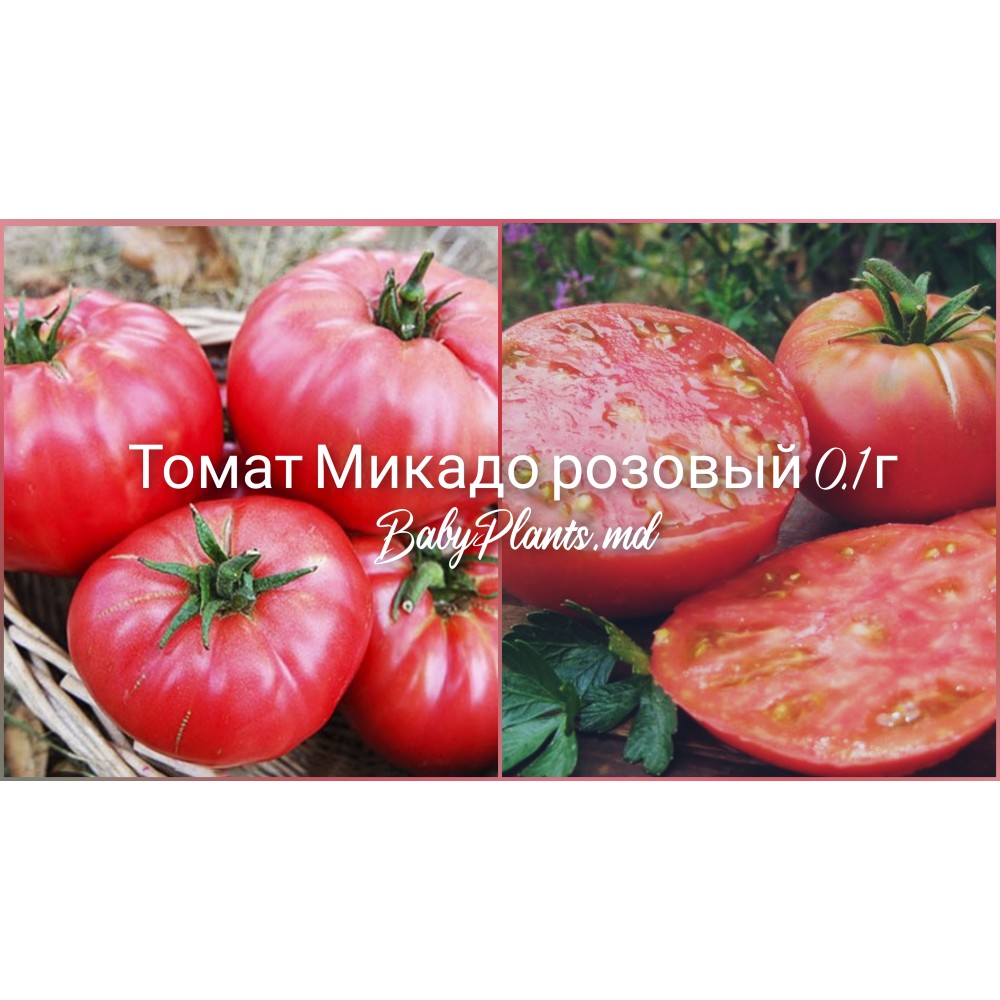 Томат Микадо розовый 0.1 г