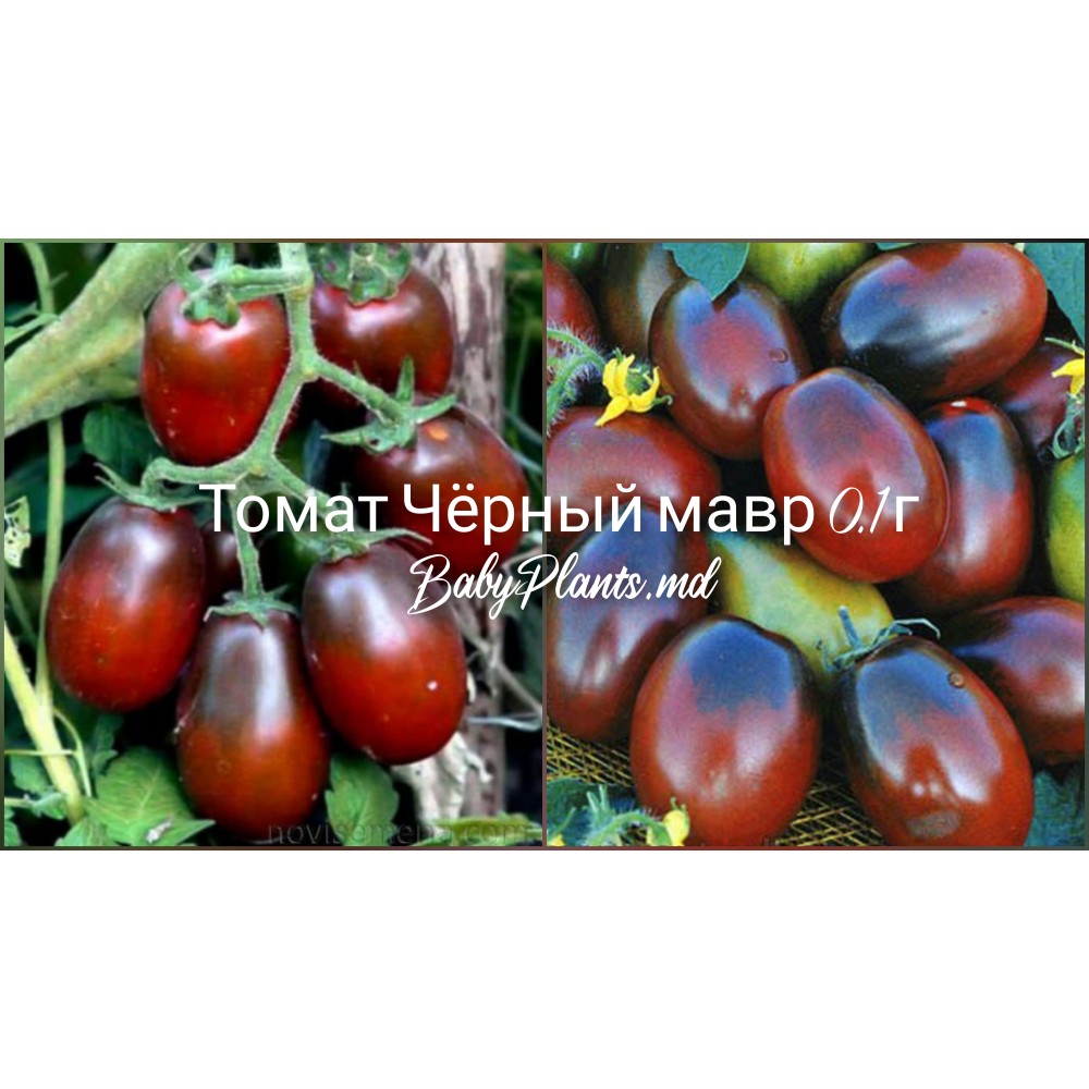 Томат Чёрный мавр 0.1 г