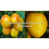 Томат Медовый бочонок 0.1 г