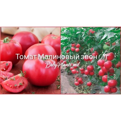 Томат Малиновый звон 0.1 