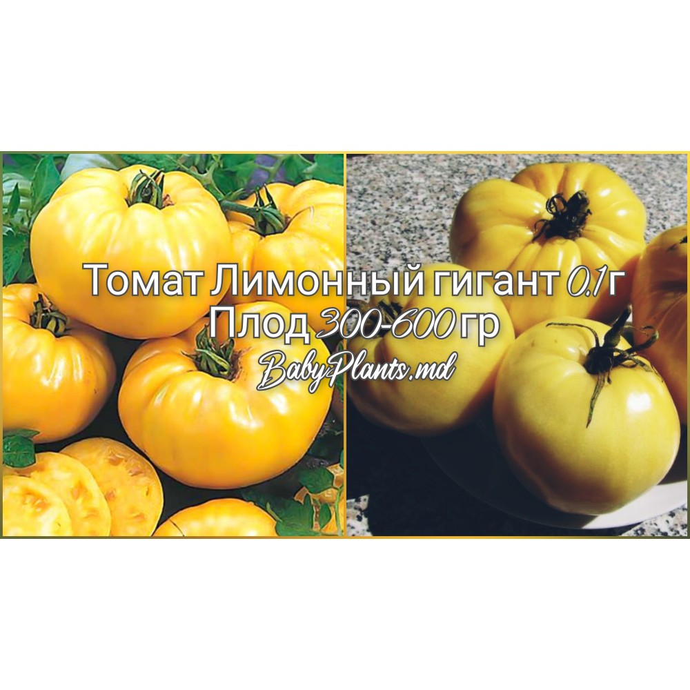 Томат Лимонный гигант 0.1 г