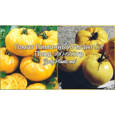 Томат Лимонный гигант 0.1 г