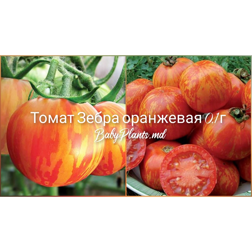 Томат Зебра оранжевая 0.1 г