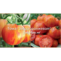 Томат Зебра оранжевая 0.1 г