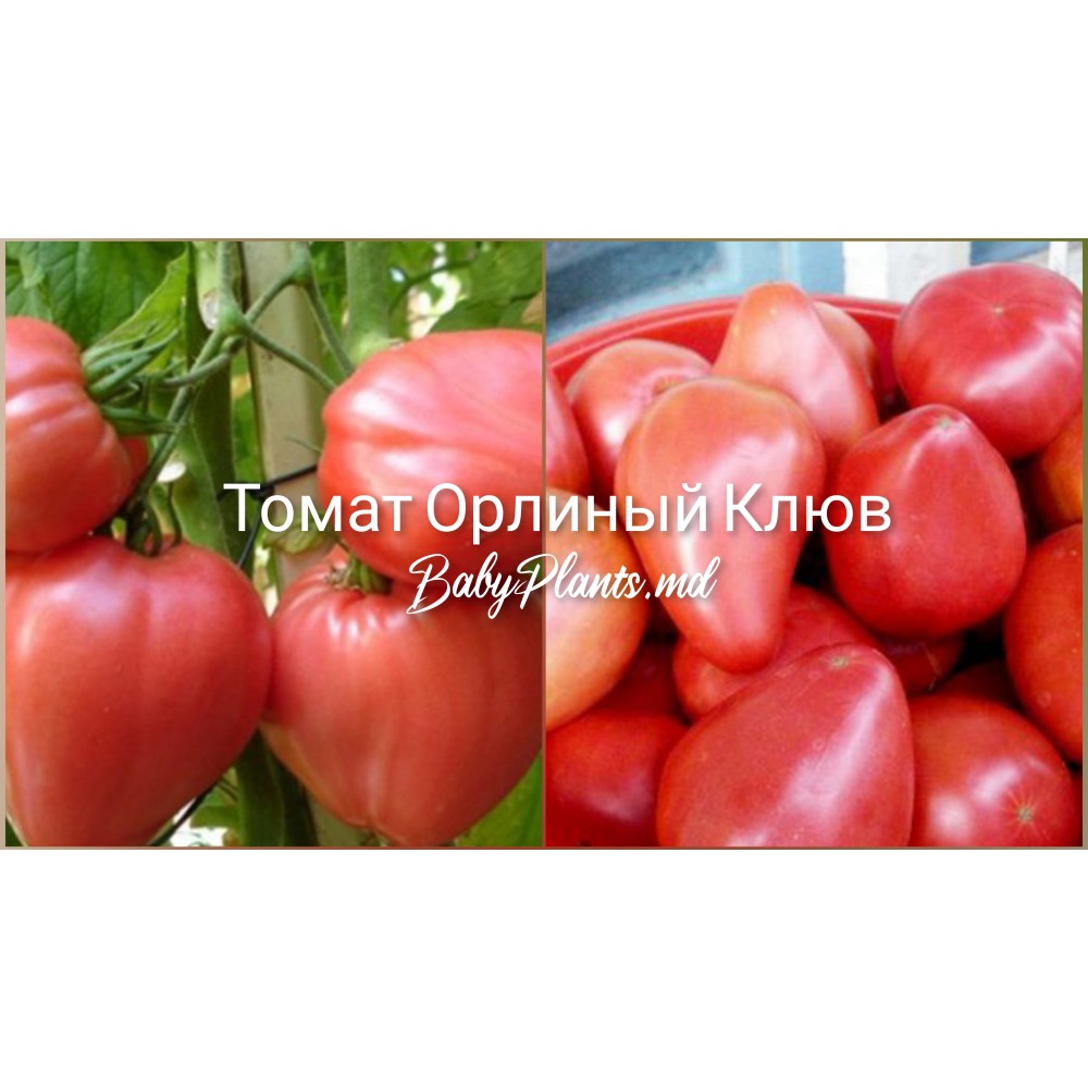 Томат Орлиный Клюв (0.15г)