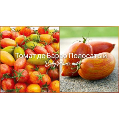 Томат Дамский пальчик (0.15г)