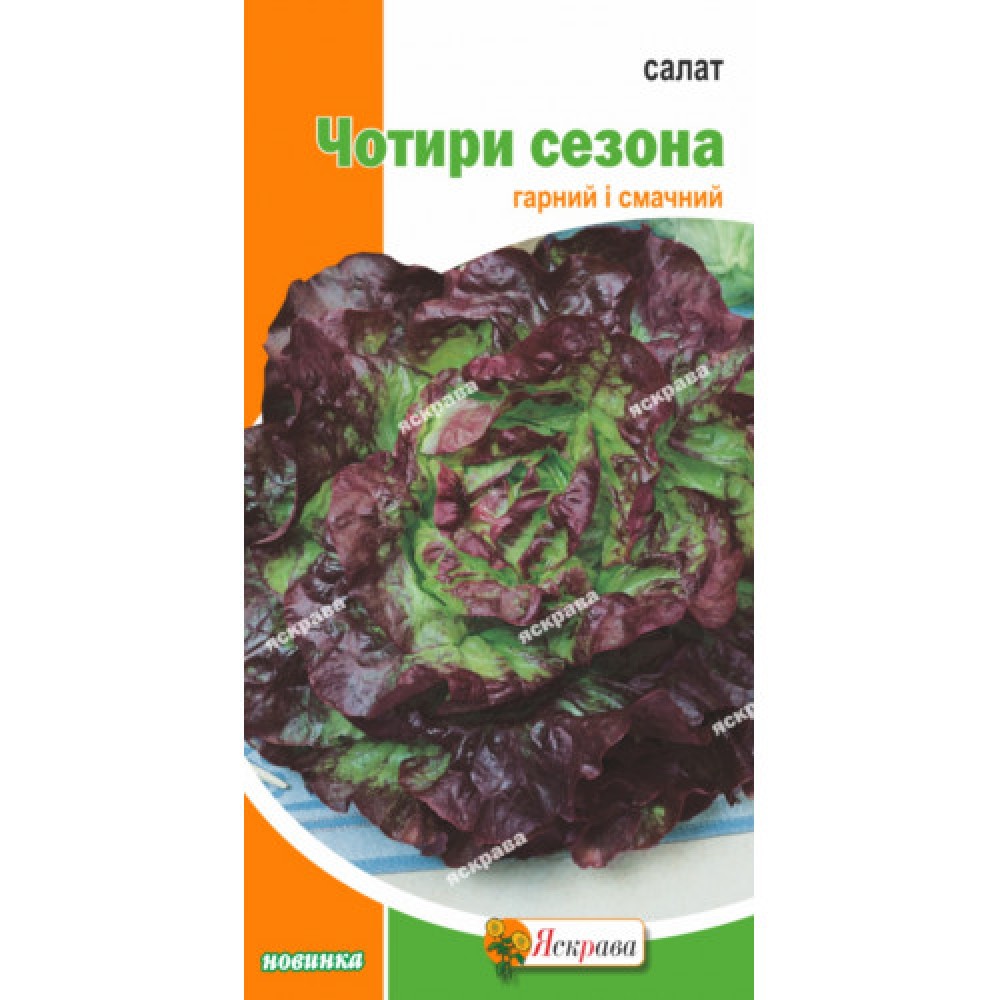 Салат Четыре сезона 1 г