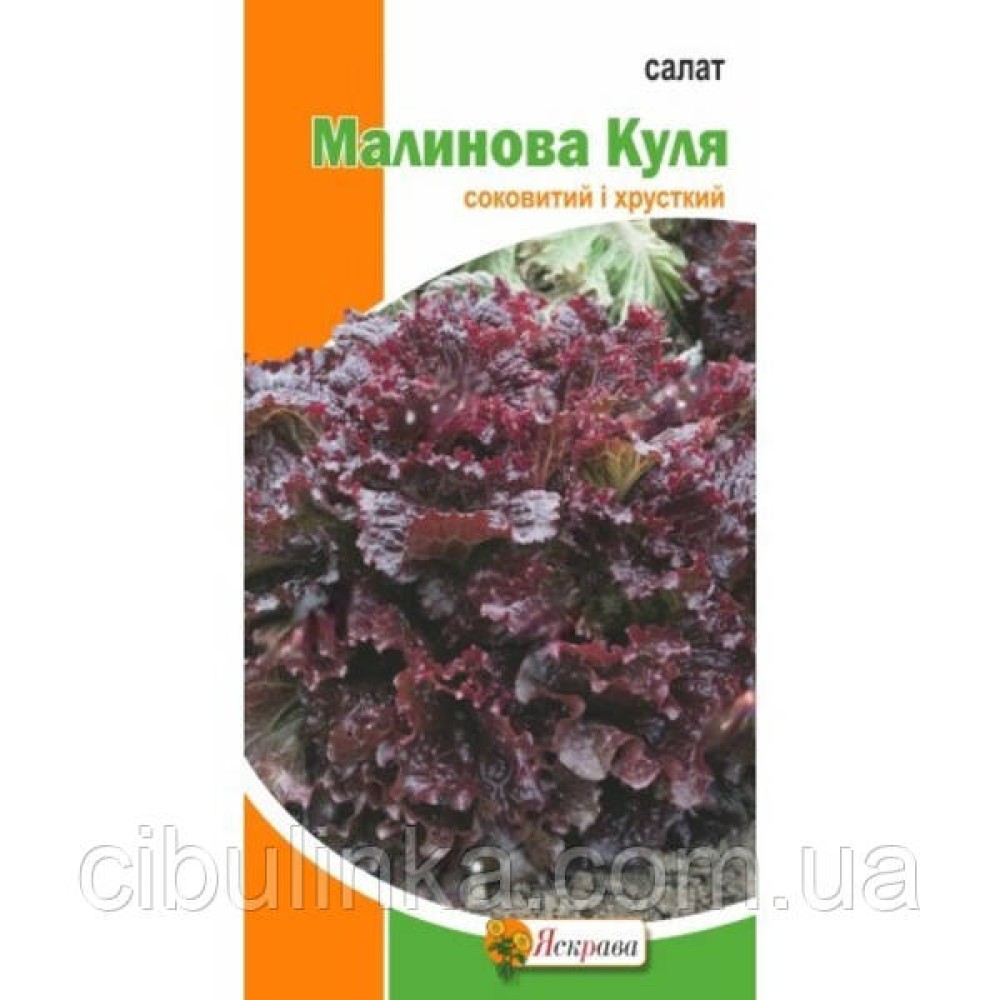 Салат Малиновый шар 1г