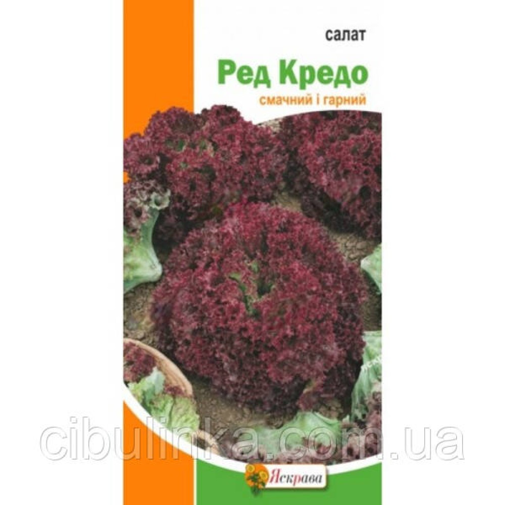 Салат Ред Кредо 1 г