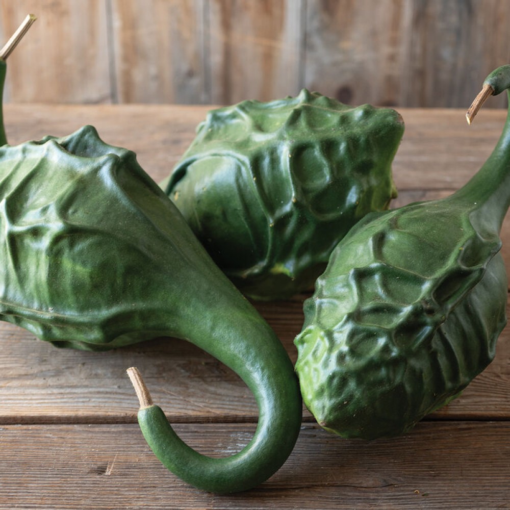 Lagenaria Dinosaur Gourd 5 sem.