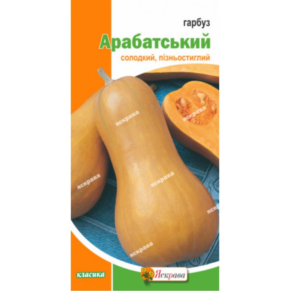 Тыква Арабатская 2 г