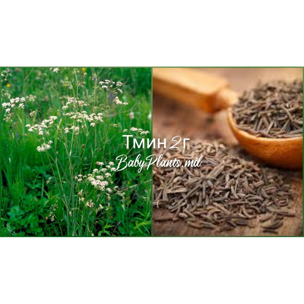 Тмин 2 г
