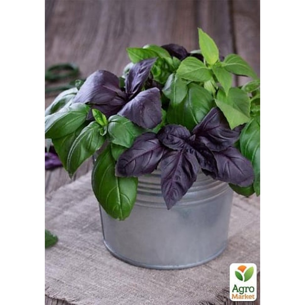 Базилик Комнатный смесь сортов 0.2 г