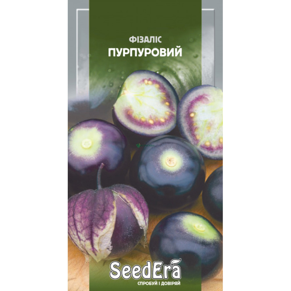 Физалис Пурпурный