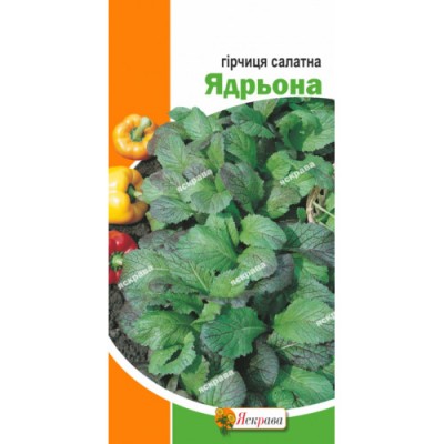 Mustar de salată Iute 2 g