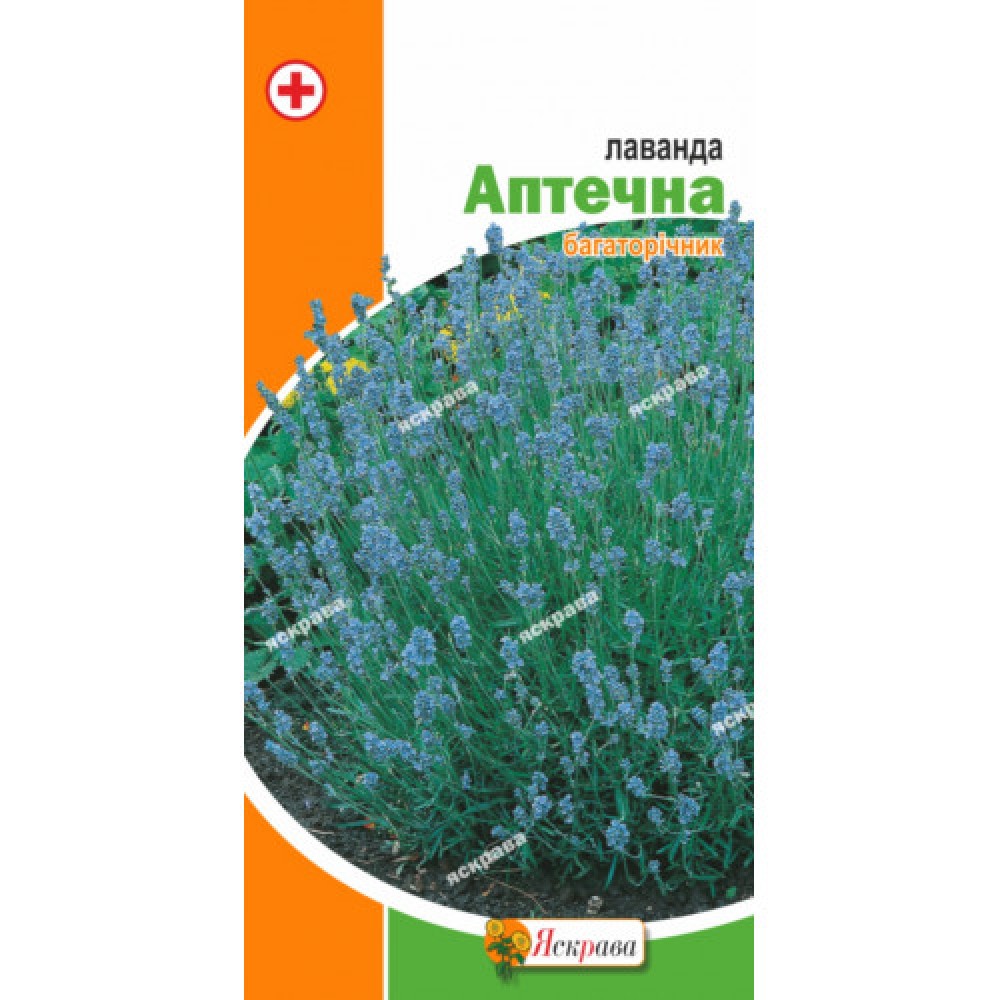 Лаванда Аптечная 0.1 г