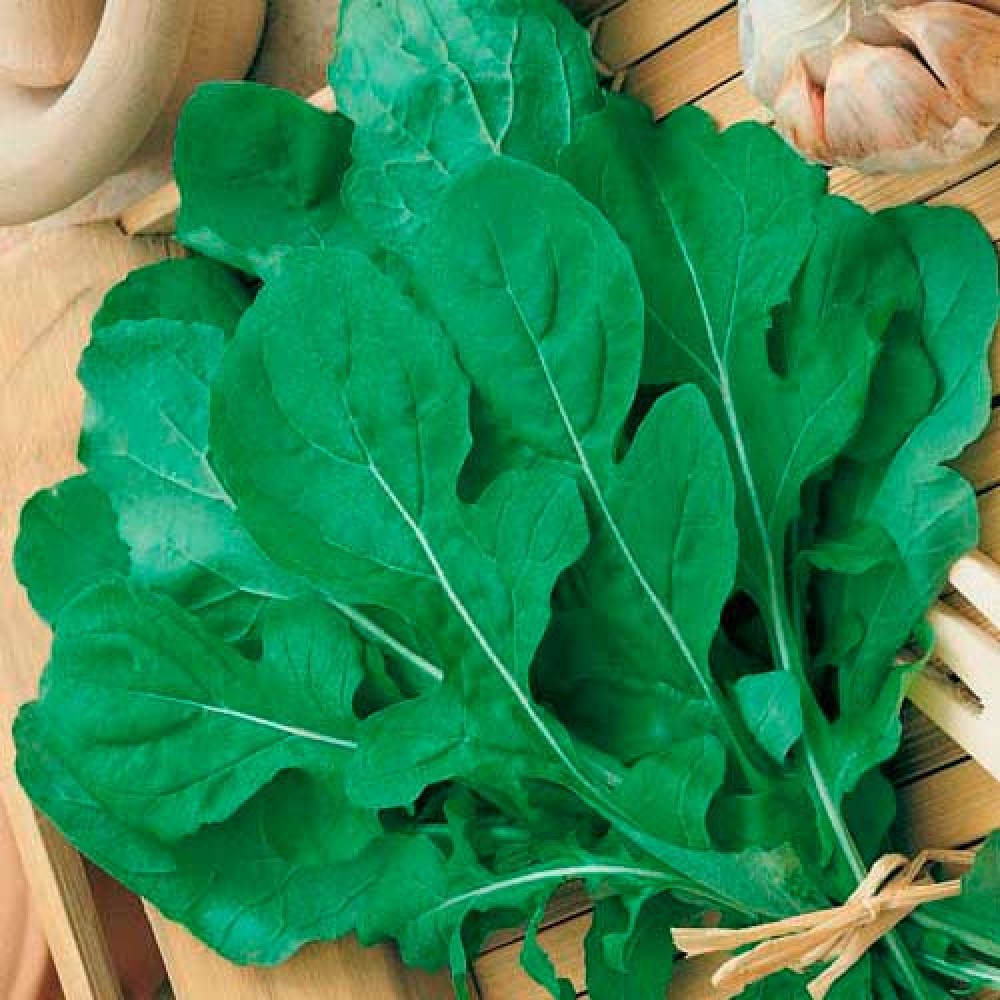 Руккола Деликатесная (2г)