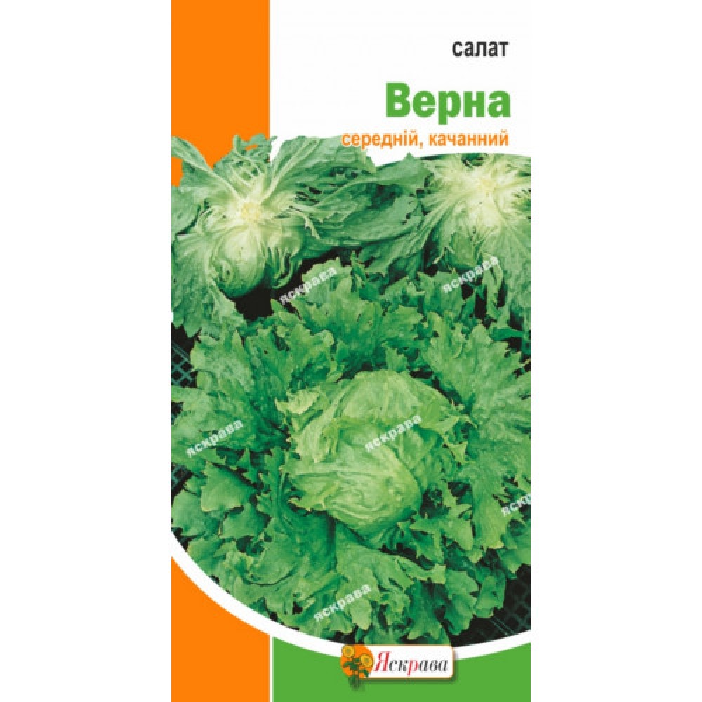 Салат Верна Качанный 2 г