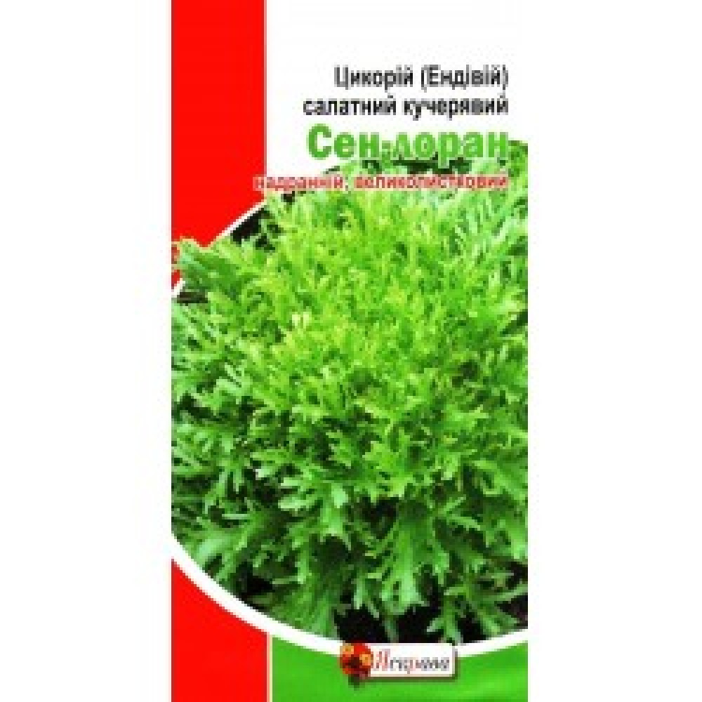 Цикорный салат Сен-Лоран 1г