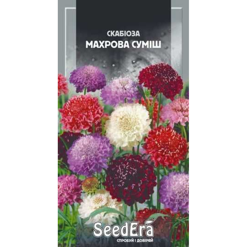 Scabiosa dublă mix 0,1 g.