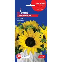 Подсолнух горшочный Полина (0,3г)