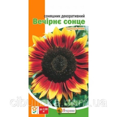 Подсолнух декоративный Вечернее Солнце 2 г
