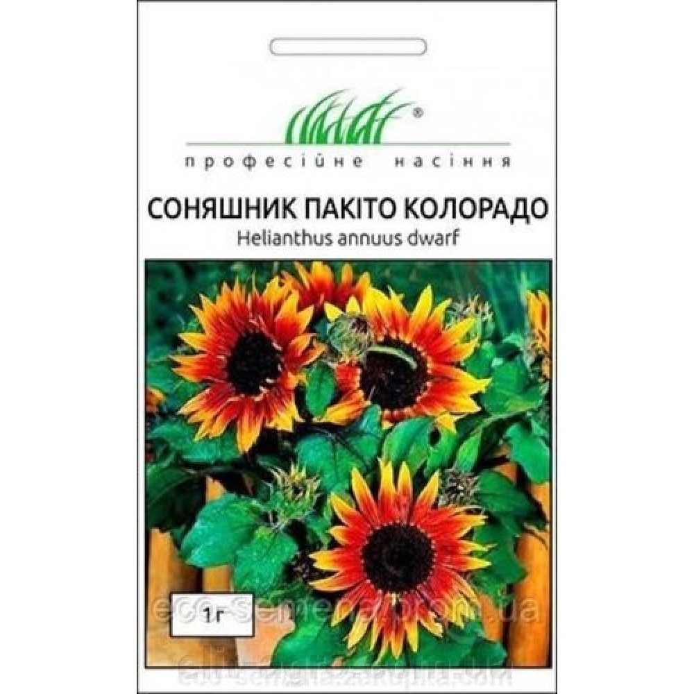 Подсолнух Пакито Колорадо 1г