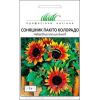 Подсолнух Пакито Колорадо 1г
