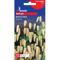 Briza Maxima 0,25 g