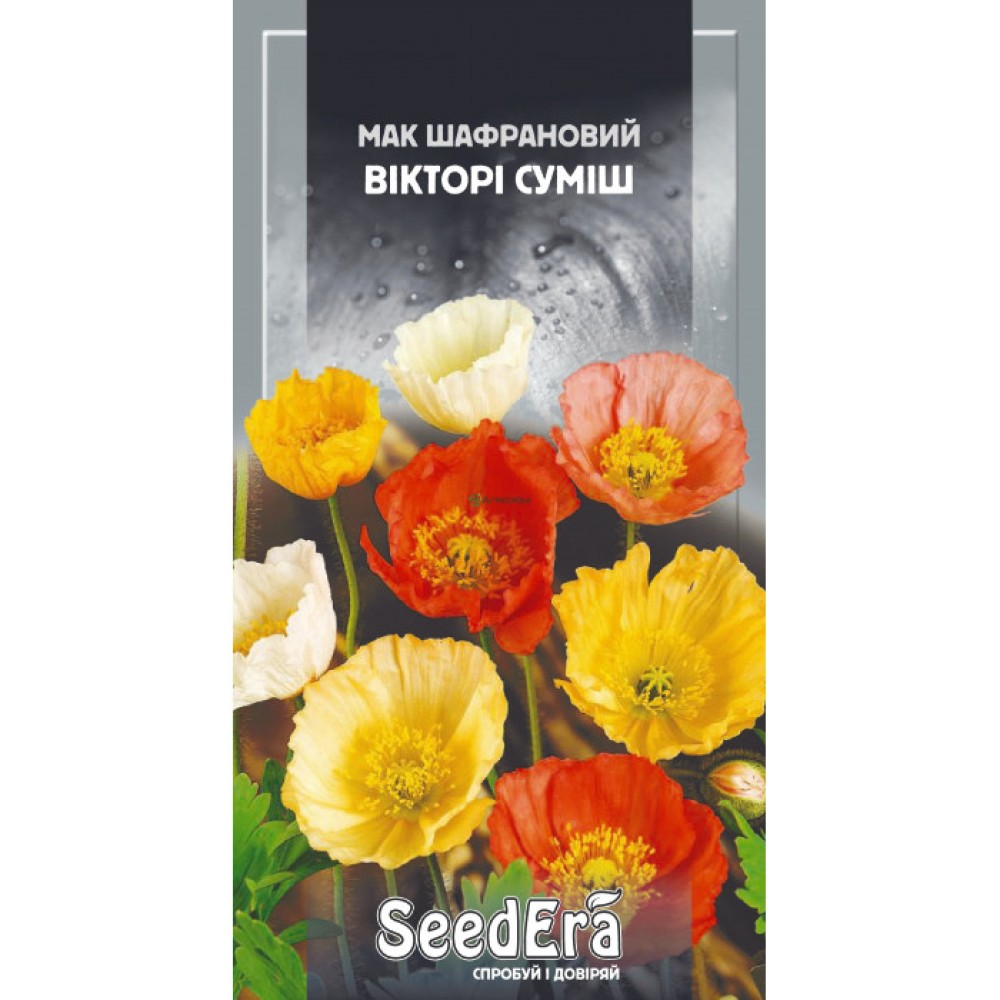 Мак шафрановый виктори