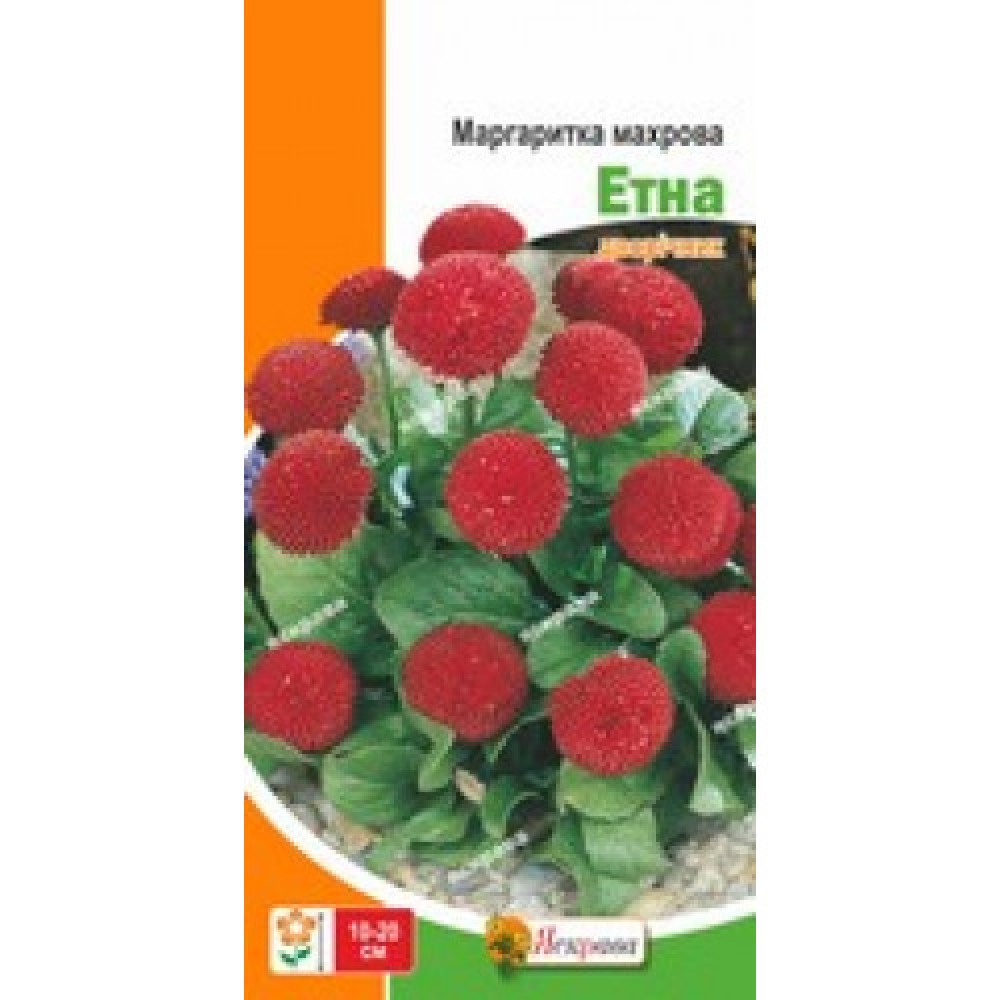 Margareta bătută Etna 0,1 g