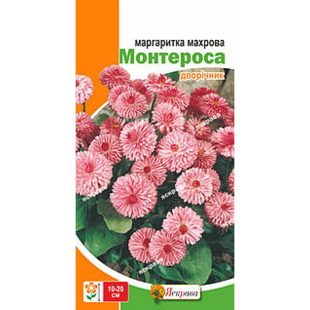 Маргаритка махровая Монтеросса 0.1 г