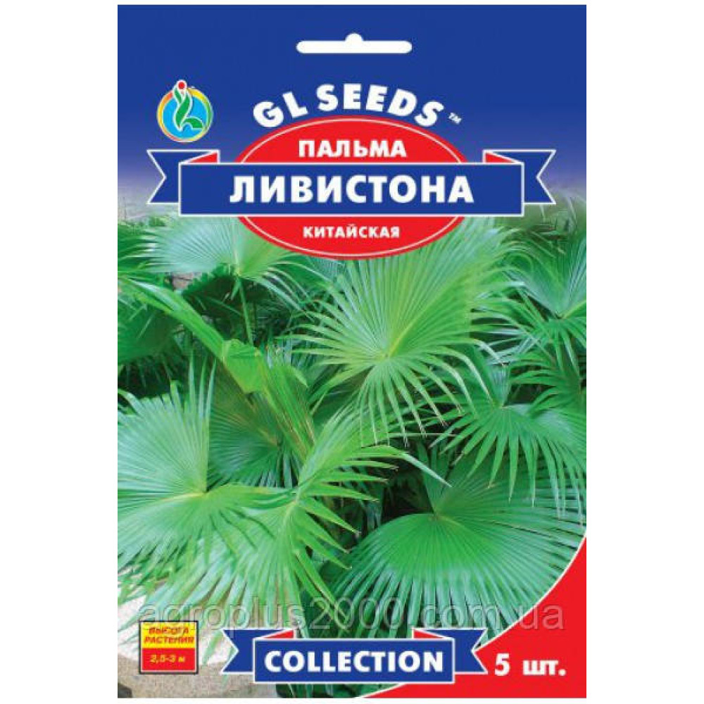 Пальма китайская Ливистона (5шт)