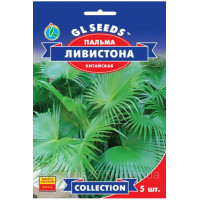 Пальма китайская Ливистона (5шт)