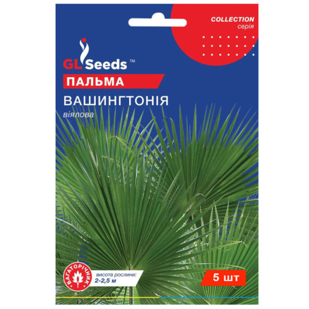 Пальма Вашингтония (5 семян в оболочке)