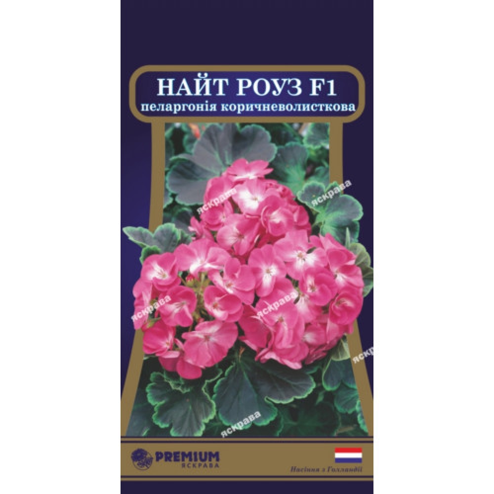 Пеларгония коричневолистная Найт Роуз F1 5 семян в оболочке
