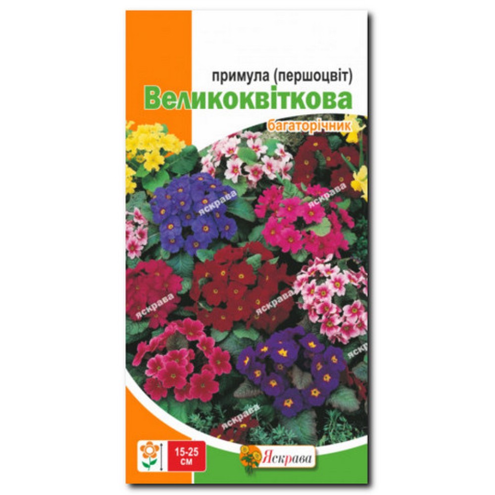 Первоцвет Крупноцветковый (примула) смесь 0.1 г