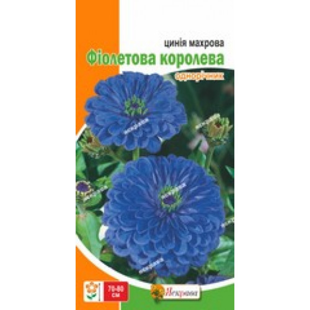 Цинния махровая Фиолетовая Королева 0.5 г