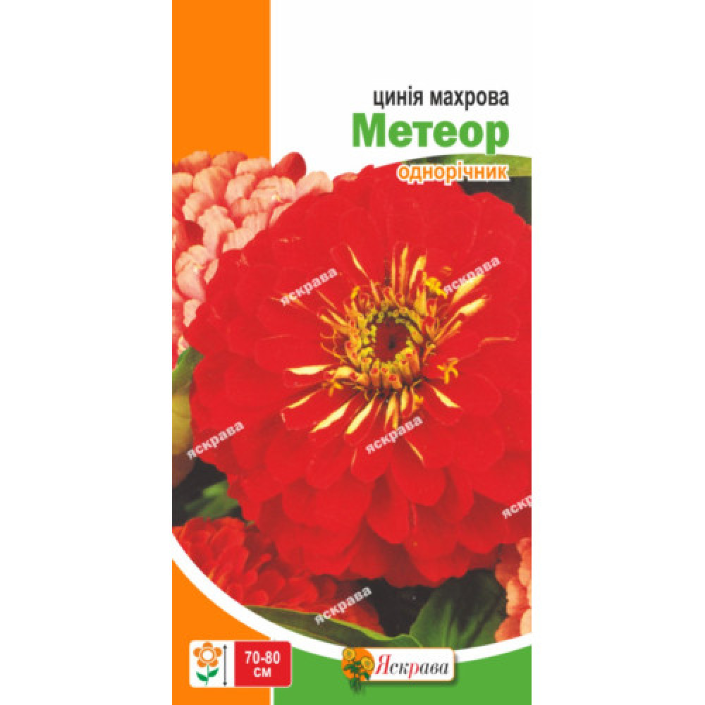 Цинния махровая Метеор 0.5 г 