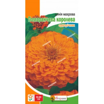 Цинния махровая Оранжевая Королева 0.5 г
