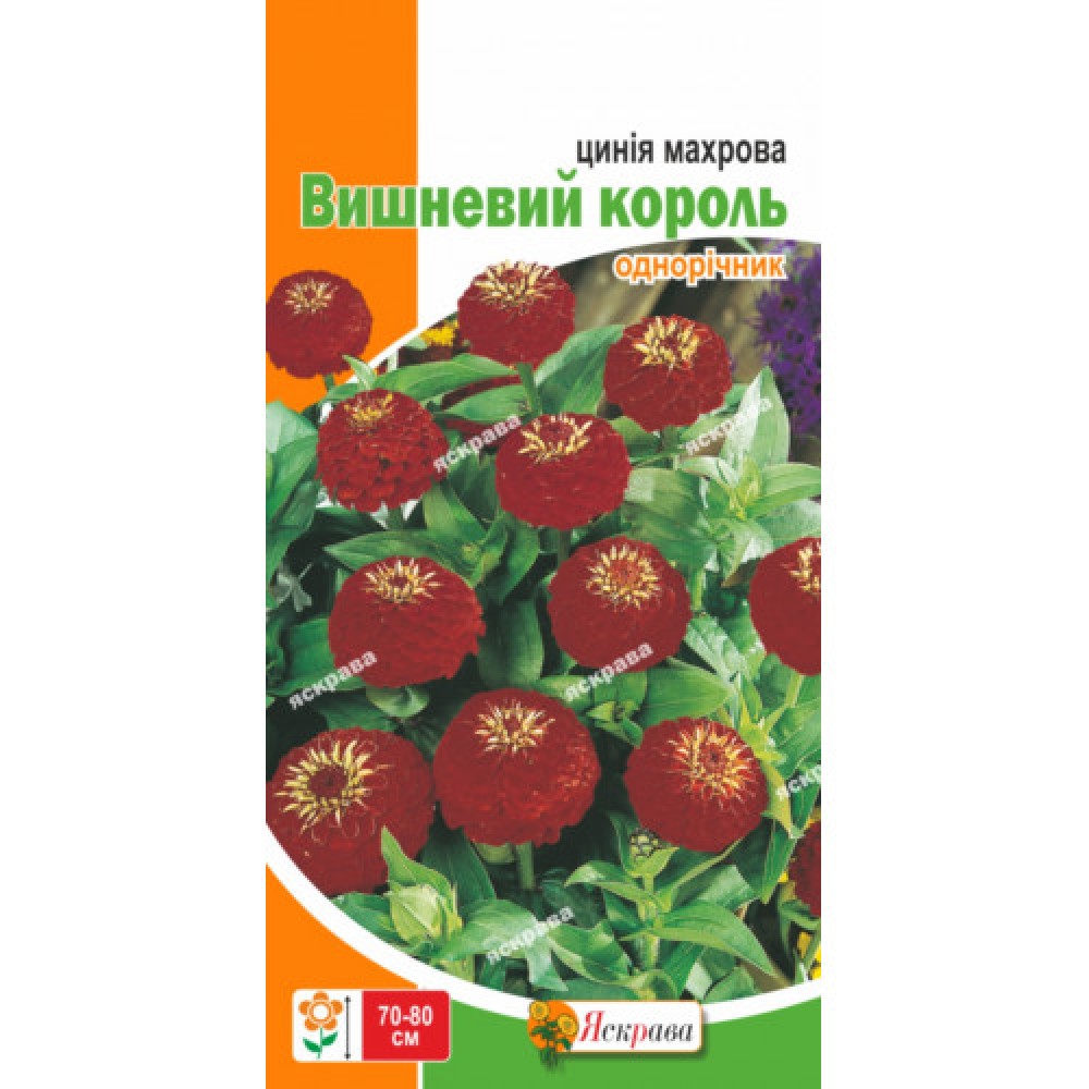 Цинния махровая Вишнёвый Король 0.5 г
