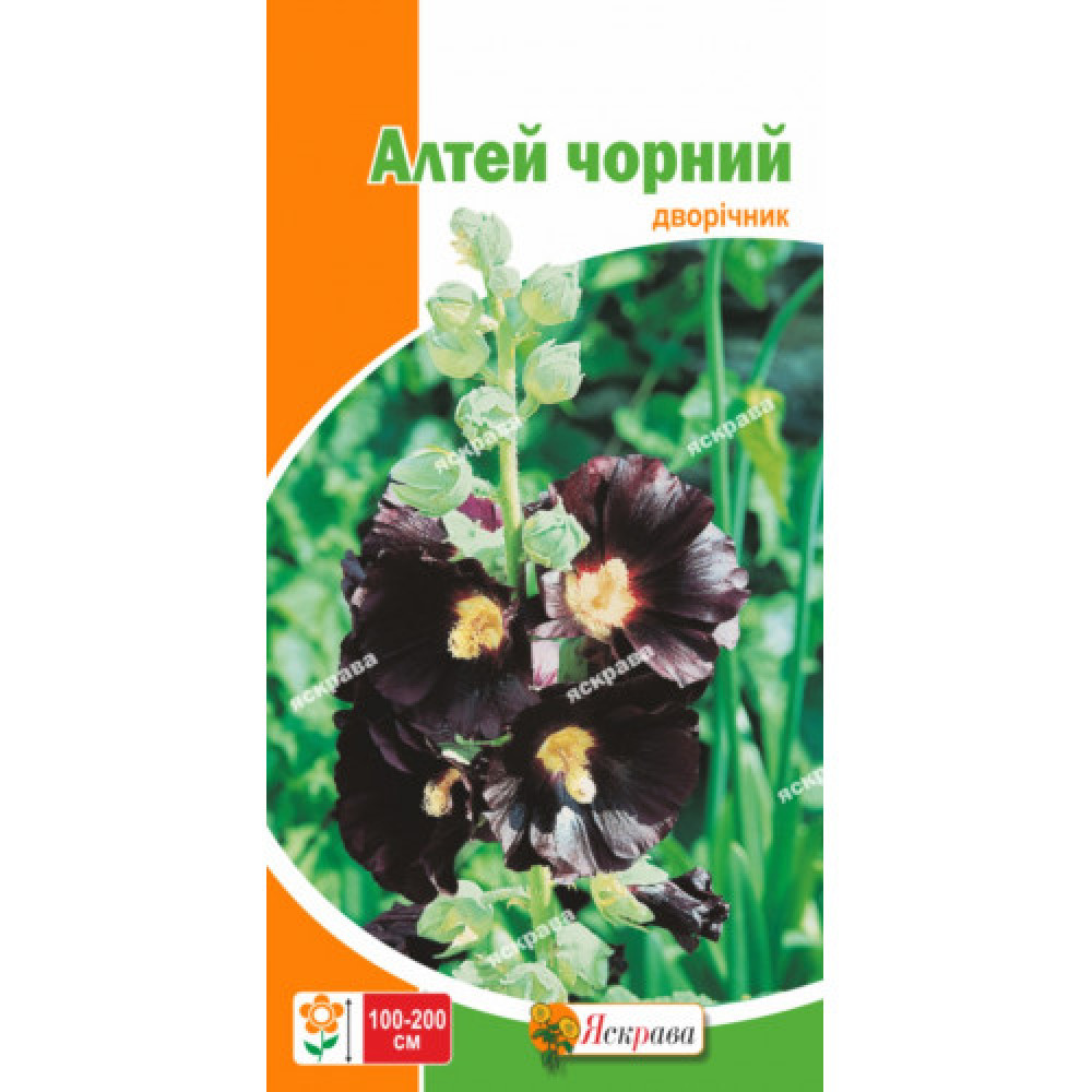 Алтей Чёрный (чёрная роза) 0.2 г