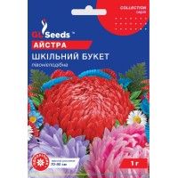 Astra Buchetul Școlar (1г)