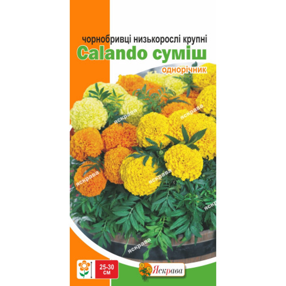 Бархатцы низкие Calando смесь 0.3 г