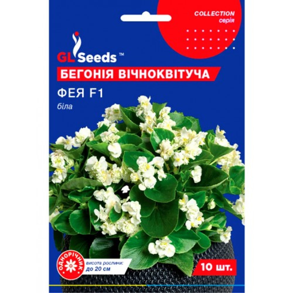 Бегония Вечноцветущая Фея белая F1 смесь (10шт)