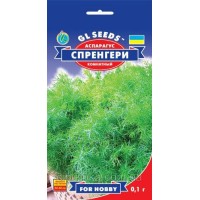 Аспарагус комнатный Спренгери (0.1г)
