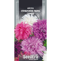 Астра страусиный перья