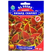 Семена Колеуса Визард Скарлетт (10шт)