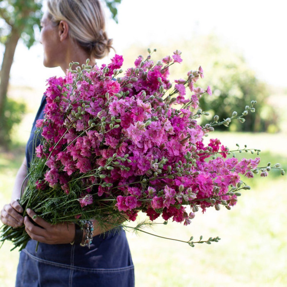 Дельфиниум Однолетний Карминный Король 0.1 гр