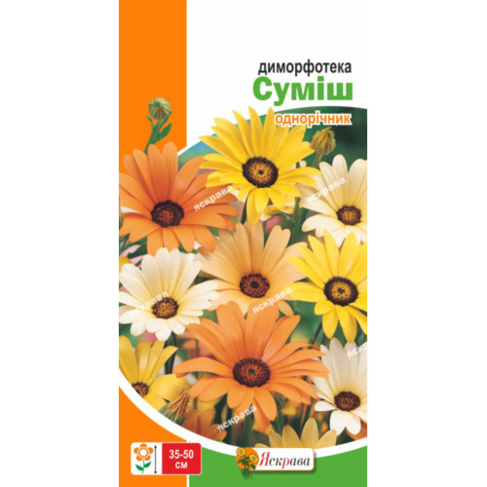 Диморфотека смесь 0.3 г